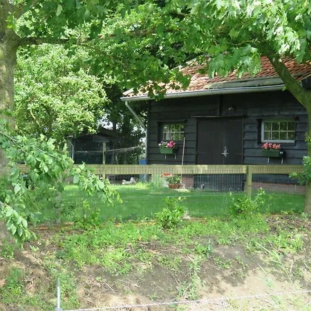 De Nieuwe Tijd Wieringermeer