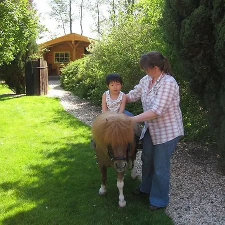 De Nieuwe Tijd Wieringermeer Slootdorp