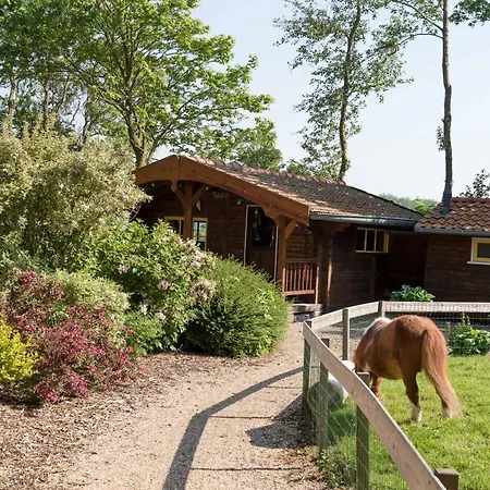 Hotel De Nieuwe Tijd Wieringermeer Slootdorp
